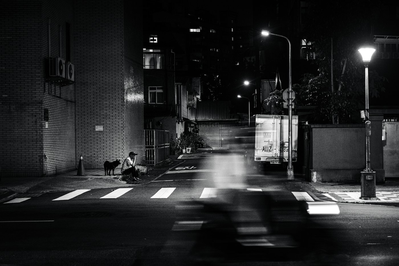 A person crouched at a crosswalk at night with a dog, blurred traffic in front