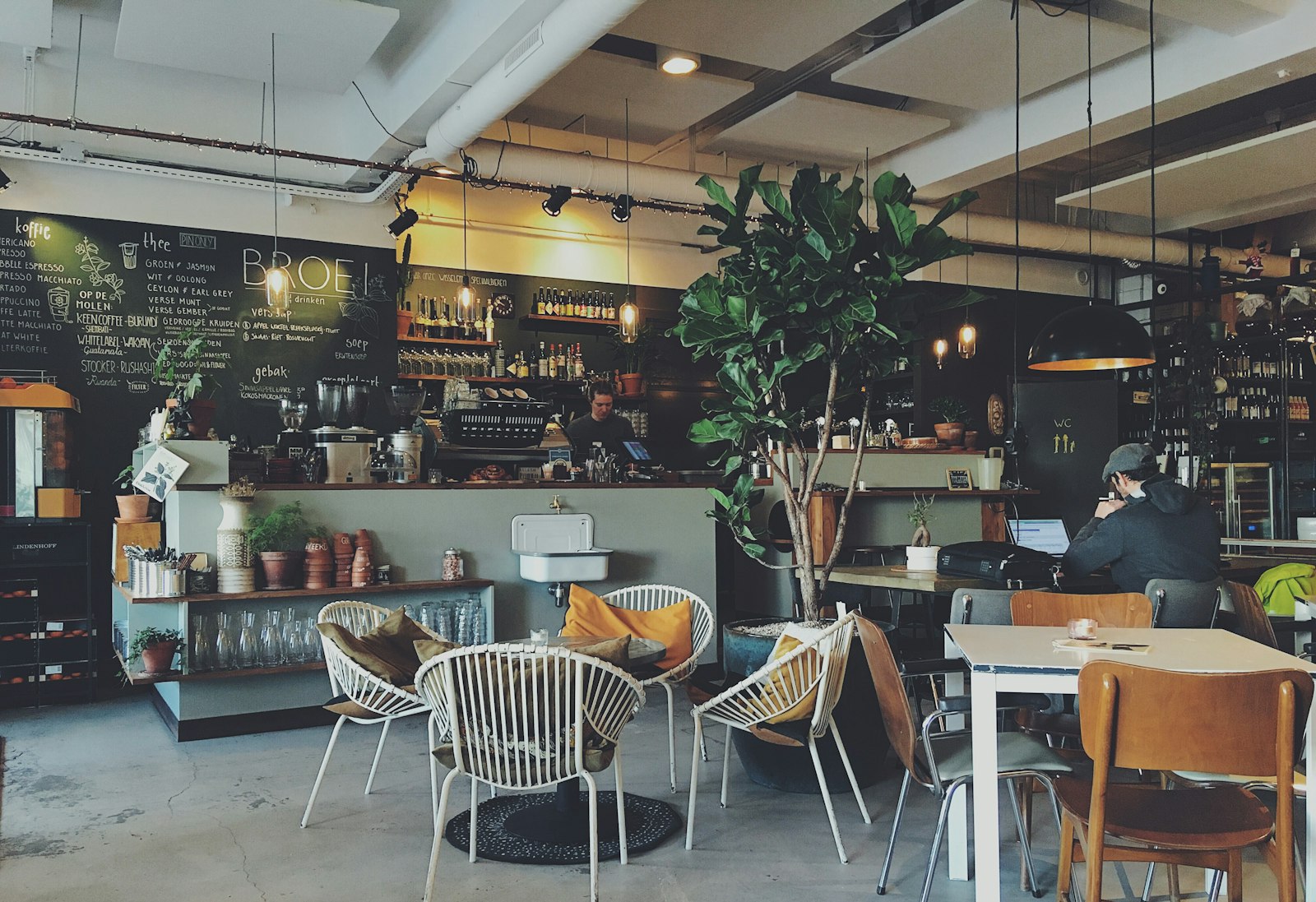 The Tinta café room with counter, plants and warm lighting