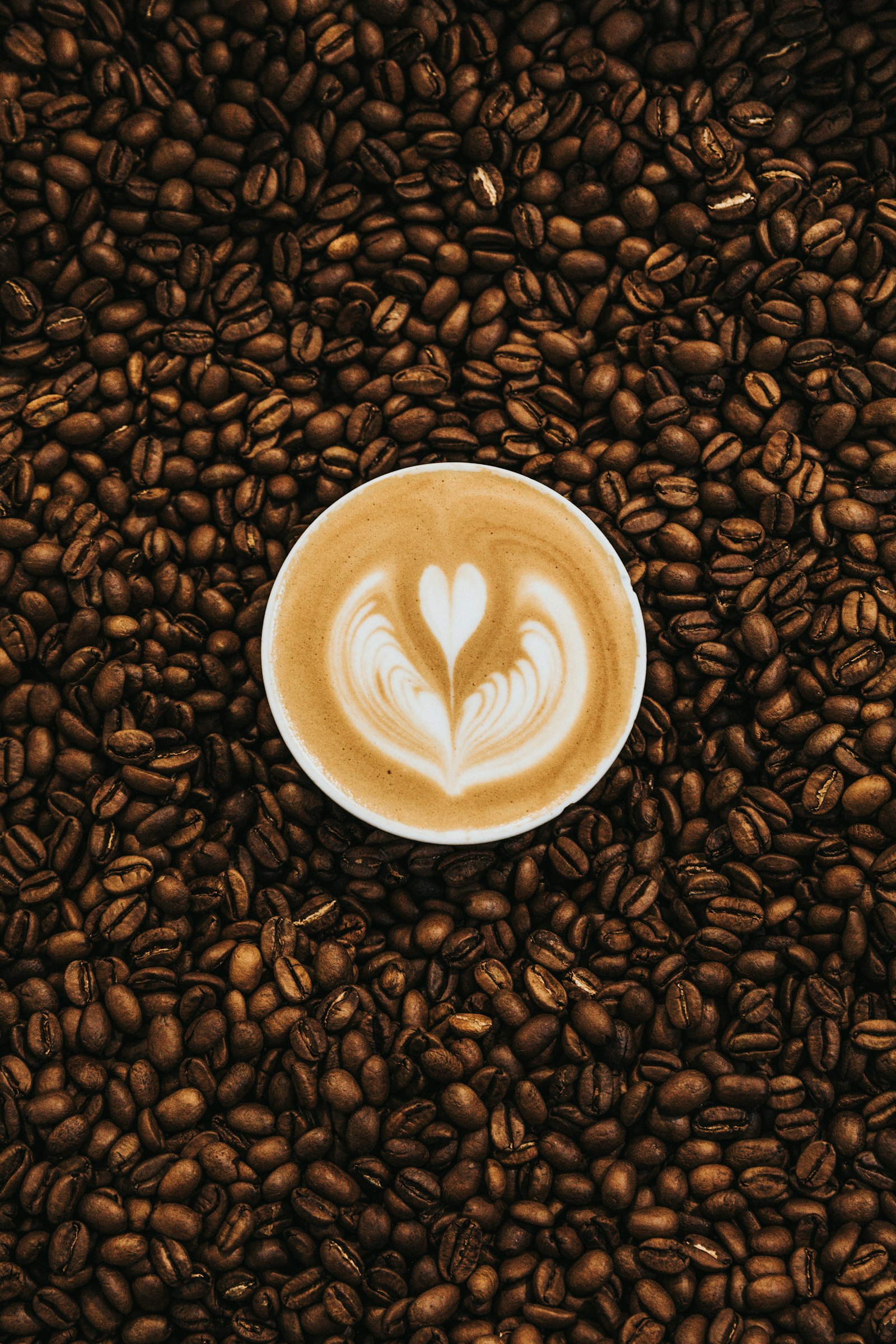 Bulaan — light roast from Kalinga, Philippines