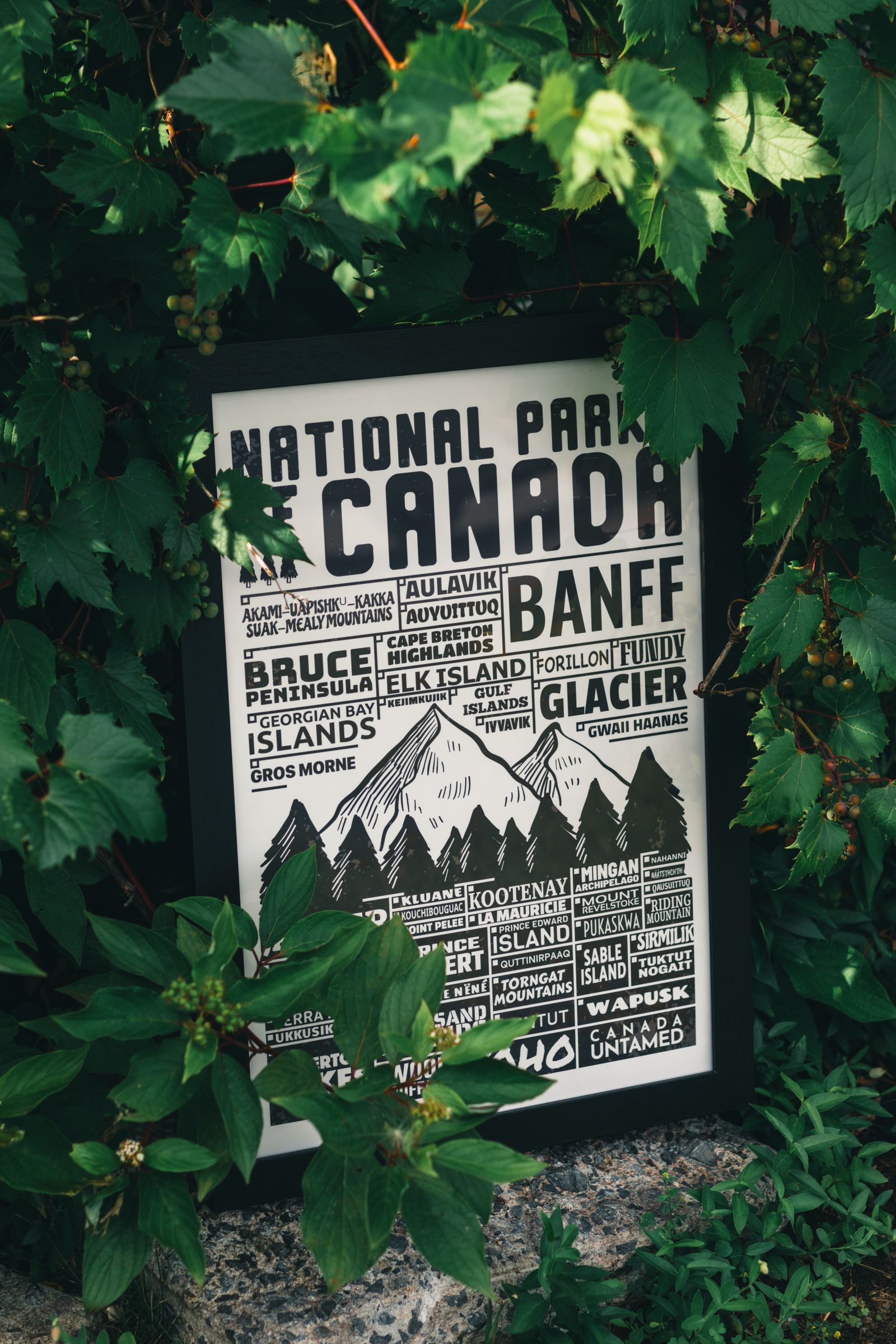 A printed poster resting in foliage